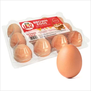 Brown Eggs 12 Pieces